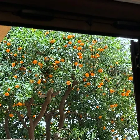 Al Vico1 Tatil Evi *