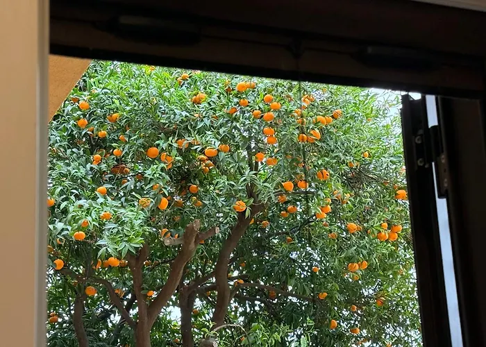 Al Vico1 度假居 *